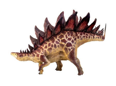 dinosaur , stegosaurus  isolated backgroundの写真素材