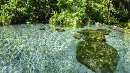 water surface stream and forestの写真素材