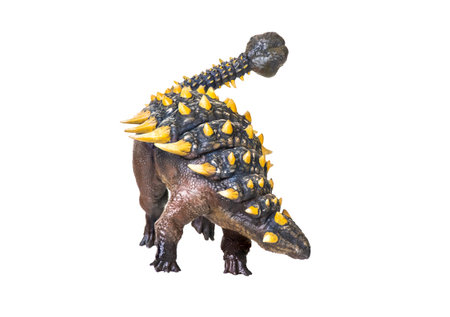 ankylosaurus dinosaur , isolated backgroundの写真素材