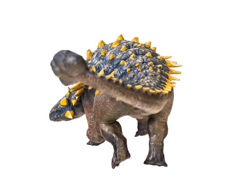 ankylosaurus dinosaur , isolated backgroundの写真素材