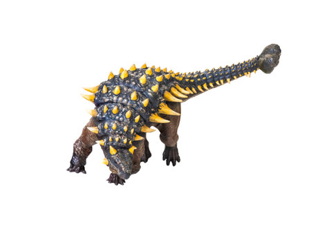 ankylosaurus dinosaur , isolated backgroundの写真素材