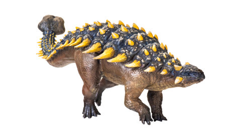 ankylosaurus dinosaur , isolated backgroundの写真素材