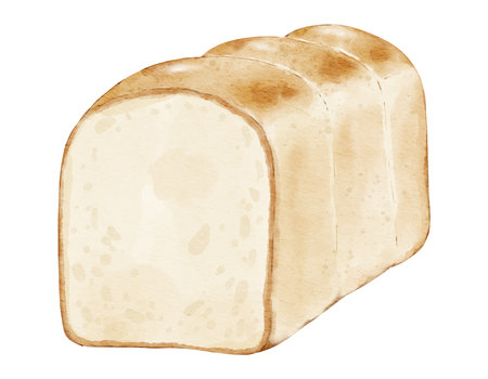 Watercolor  white bread Hand drawn watercolor illustration isolated elementの写真素材