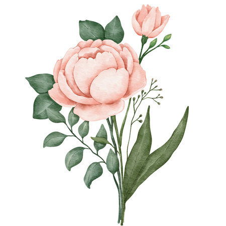 floral composition flower  watercolor illustration isolated elementの写真素材
