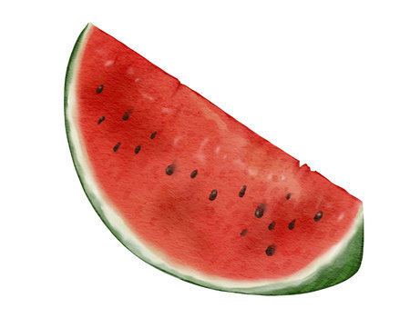 watermelon fruit   watercolor illustration isolated elementの写真素材