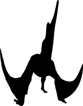 Tupandactylus black silhouette isolated backgroundのイラスト素材