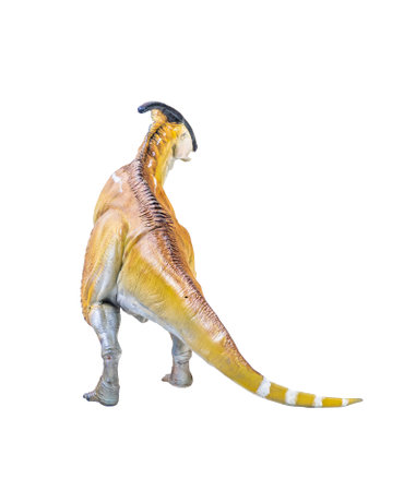 Parasaurolophus  dinosaur isolated backgroundの写真素材