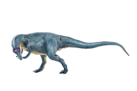 Allosaurus   dinosaur isolated backgroundの写真素材