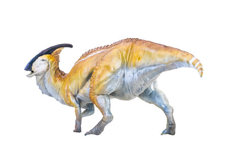 Parasaurolophus  dinosaur isolated backgroundの写真素材