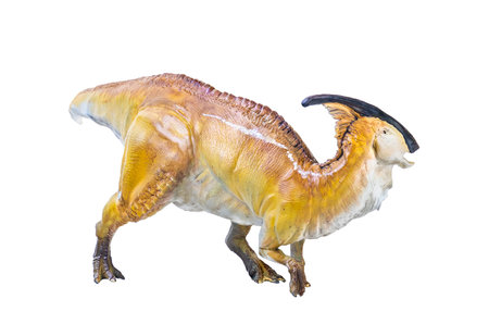 Parasaurolophus  dinosaur isolated backgroundの写真素材