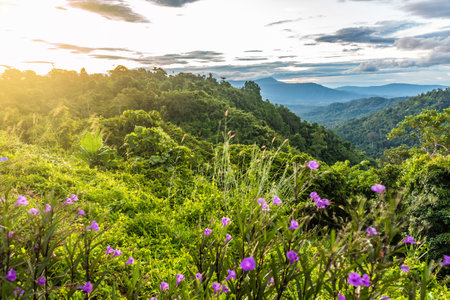 landscape of mountain beautiful countryside of Thailandの写真素材