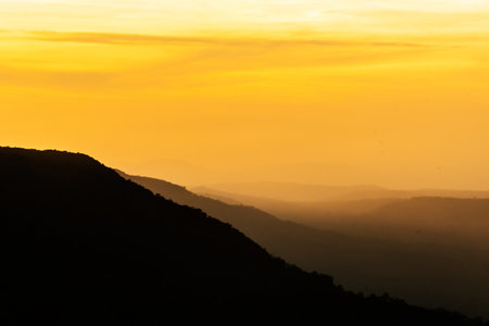 Pha Deaw Dai Cliffs of The Khao Yai National Park in Thailandの写真素材
