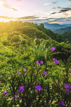 landscape of mountain beautiful countryside of Thailandの写真素材