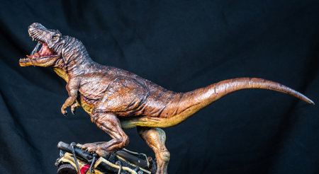 Trex Tyrannosaurus  dinosaur in the darkの写真素材