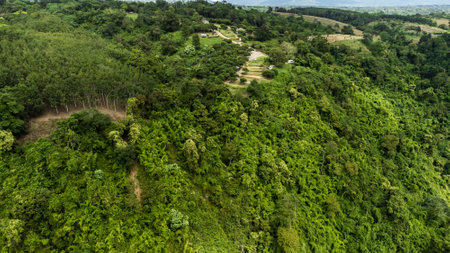 High angle view Aerial photograph of forestの写真素材