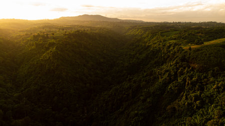 High angle view Aerial photograph of forest in  Twilight time