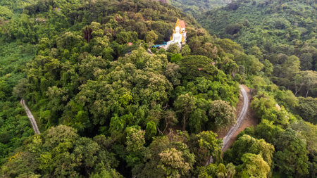 High angle view Aerial photograph of Buddha statue in the forestの写真素材