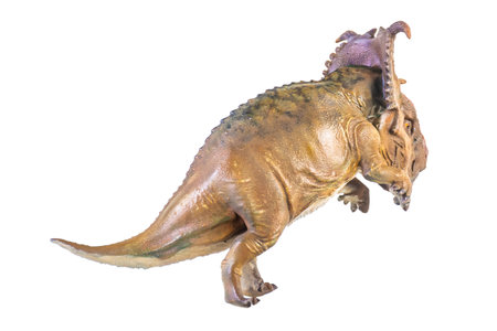 Pachyrhinosaurus dinosaur on isolated backgroundの写真素材