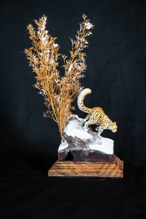 Snow Leopard in the darkの写真素材