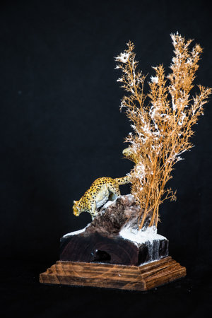 Snow Leopard in the darkの写真素材