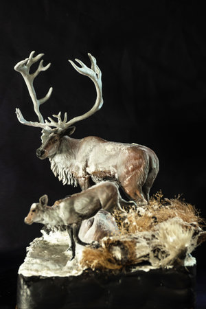 reindeer in the darkの写真素材