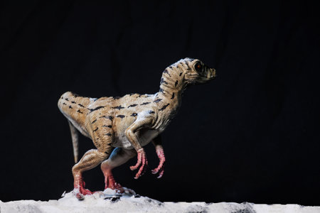 Velociraptor dinosaur  in the darkの写真素材
