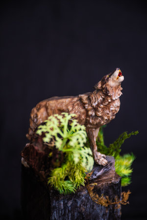 Mountain Iberian Wolf in the darkの写真素材