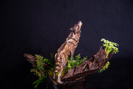 Mountain Iberian Wolf in the dark