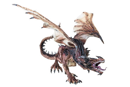 Fantasy  dragon on isolated backgroundの写真素材