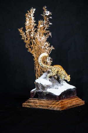 Snow Leopard in the darkの写真素材