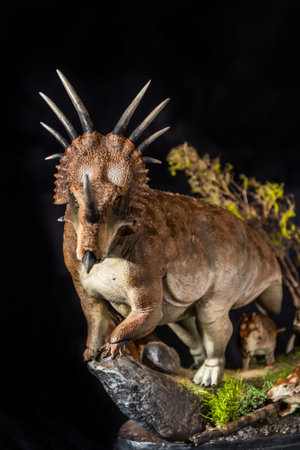 Styracosaurus dinosaur in the darkの写真素材