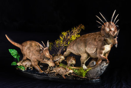 Styracosaurus dinosaur in the darkの写真素材