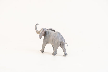 African elephant on isolated background .の写真素材