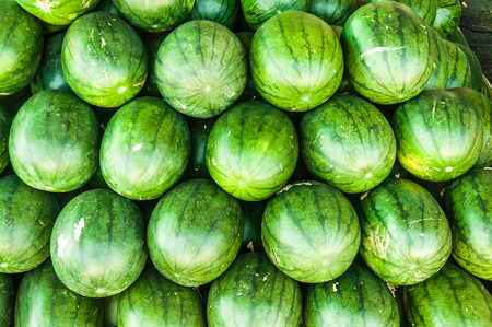 green watermelon in the market eat delicousの写真素材