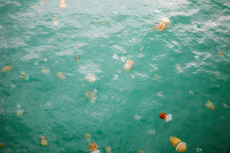Beautiful Jellyfish Floating in the Seaの写真素材