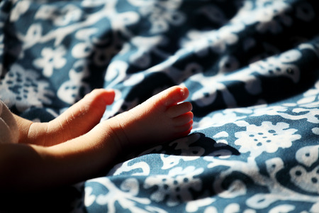 The Delicacy of New Born Baby Feetの写真素材