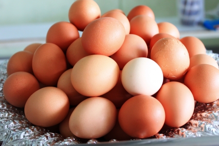 Eggの写真素材
