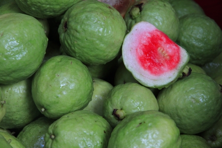 Guava Fruitの写真素材