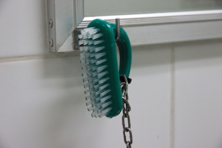 Cleaning brush Fingernail の写真素材