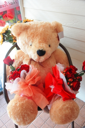 Little teddy bear の写真素材