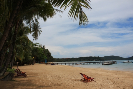 Coconut of Bridge in Seasideの写真素材