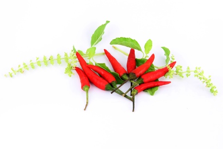 Granule bright red peppers be spicy.の写真素材