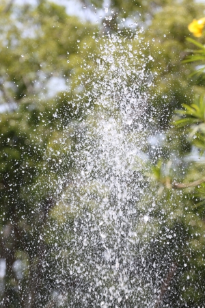 Water droplets with bubbles and Water Spread.の写真素材