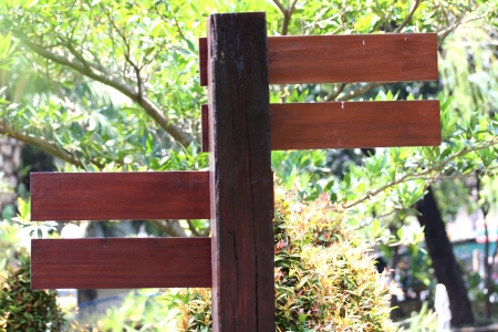 Wooden labels in a park,The wooden on Brown Color の写真素材