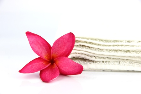 Red flowers with white towel on white background の写真素材