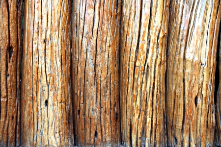 Walls of the house made from oak wood.の写真素材