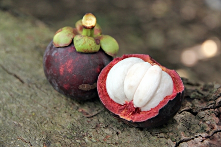 Mangosteen is a fruit that has a sweet taste,Domestic fruits in Thailand.の写真素材
