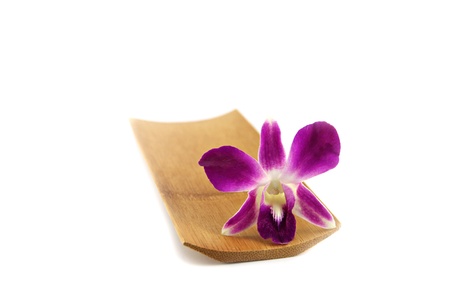 The Purple orchid in bamboo dish on white background.の写真素材