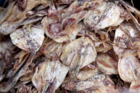 Dried squid is a Local foods in Thailand.の写真素材