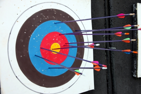 The Picture Target archery and many arrow after shoot 